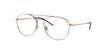 Abbildung zu: Ray-Ban Vista 0RX6414 3094 Gold Gr. 53/18